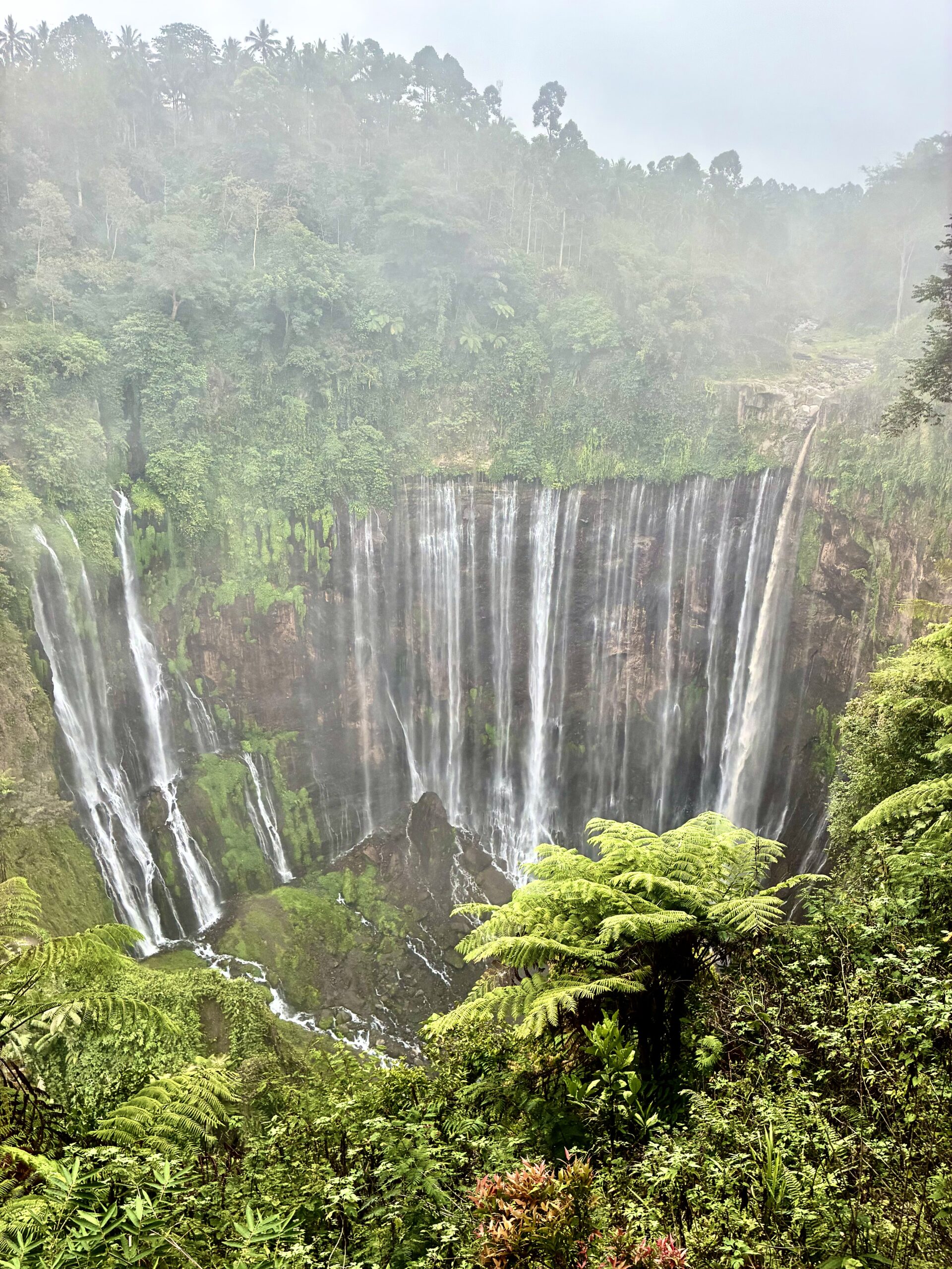 Blick auf den Tumpak Sewu Wasserfall in Java mit seinen zahlreichen Kaskaden vor dichtem Regenwald