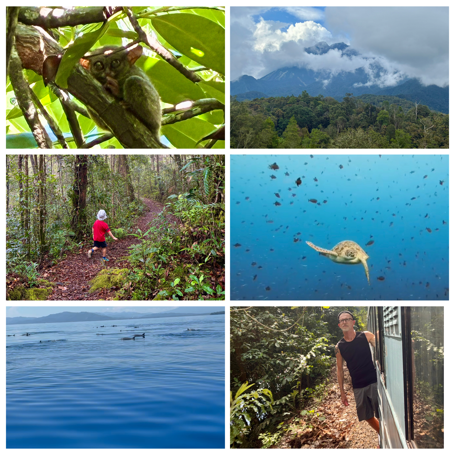 Weltgewandt Podcast Indonesien – Korallenriff, Delfine, Koboldmaki und Mount Kinabalu